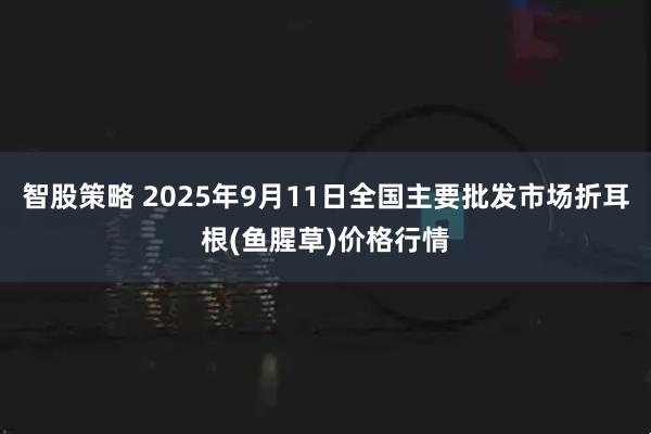 智股策略 2025年9月11日全国主要批发市场折耳根(鱼腥草)价格行情