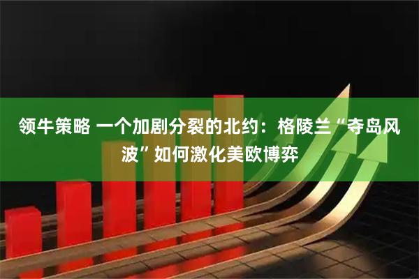 领牛策略 一个加剧分裂的北约：格陵兰“夺岛风波”如何激化美欧博弈