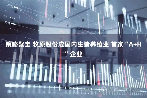 策略聚宝 牧原股份成国内生猪养殖业 首家“A+H”企业