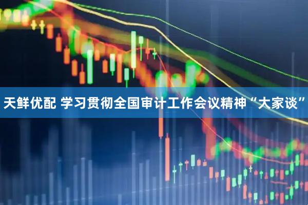 天鲜优配 学习贯彻全国审计工作会议精神“大家谈”