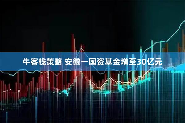 牛客栈策略 安徽一国资基金增至30亿元