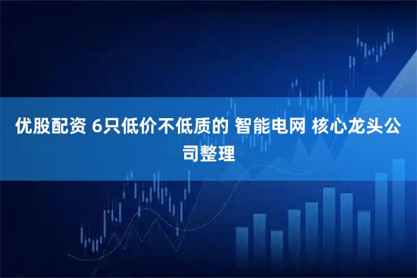 优股配资 6只低价不低质的 智能电网 核心龙头公司整理