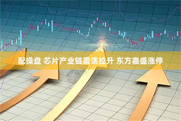 配操盘 芯片产业链震荡拉升 东方嘉盛涨停
